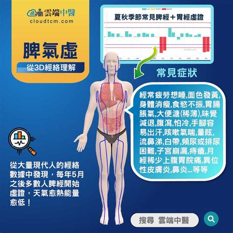 脾氣|脾氣虛的原因,症狀與經絡，運用穴道與中藥加以改。